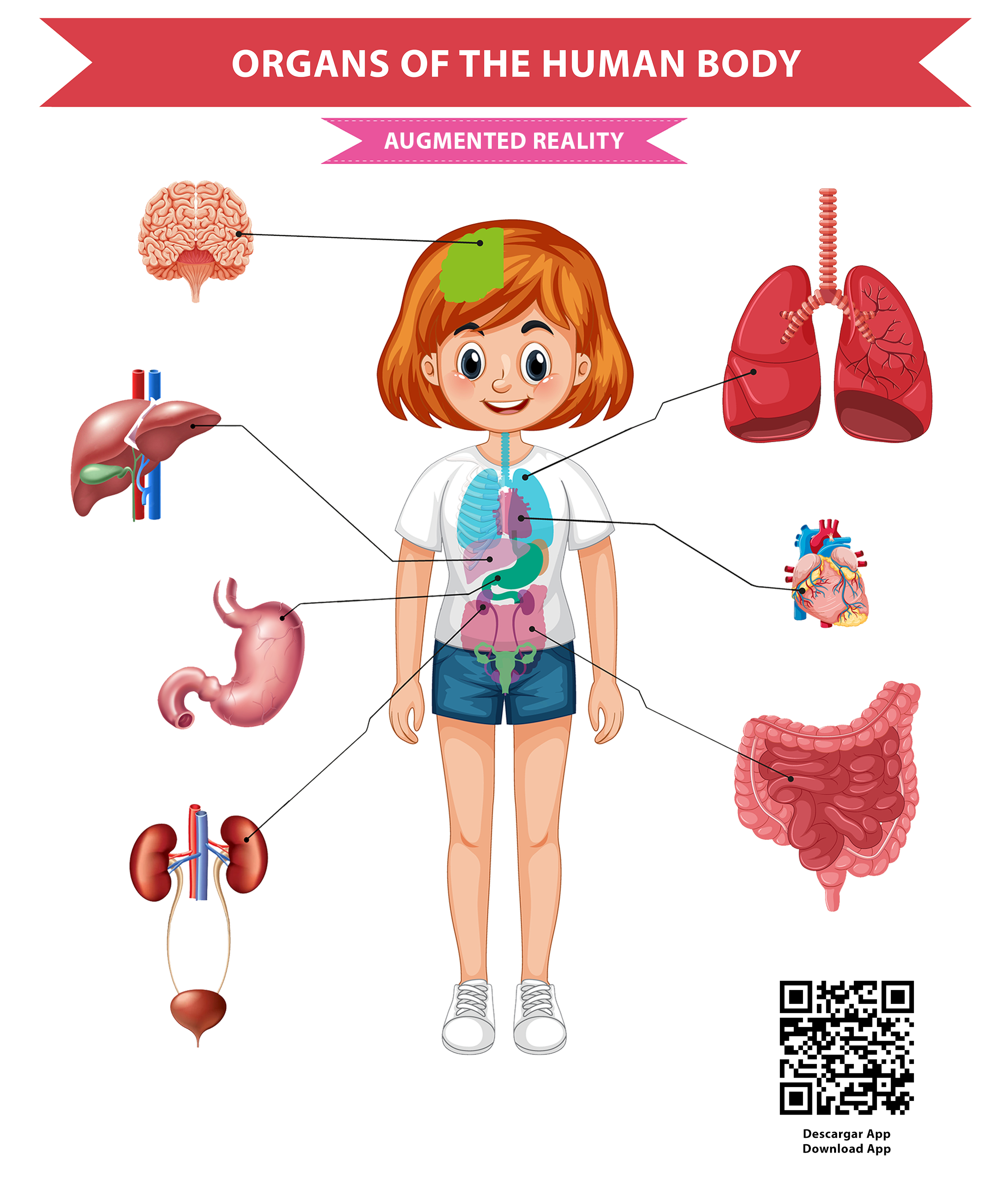 Image of girl anatomy